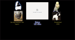 Desktop Screenshot of bestofbreeds.com